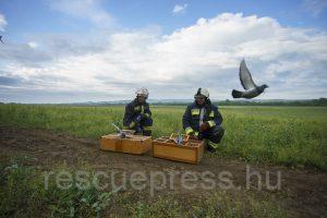 Ismét figyelmetlenség miatt történt baleset